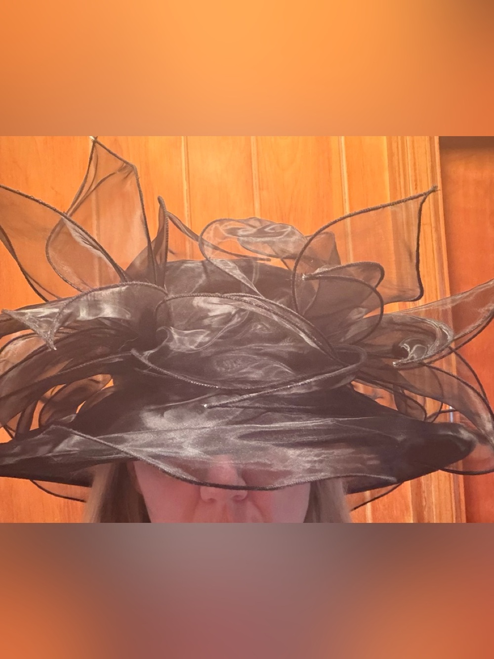 SCALA Elegant Black Organza Flowing Sheer Flower Hat Women Accessories